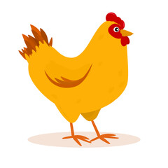 cartoon-style chicken illustration on white background