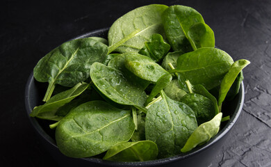 Baby spinach leaves with water drops in a ceramicn plate on a black background.