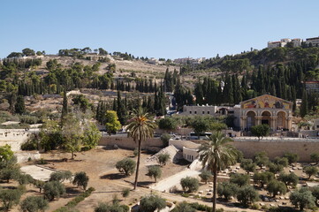 mount of Olives in jerusalem