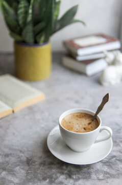 Cappuccino or coffe cup and book on concrete gray table with green plant in the pot.