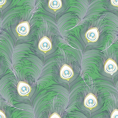 Peacock feathers Seamless pattern, background. Outline and colored vector illustration..