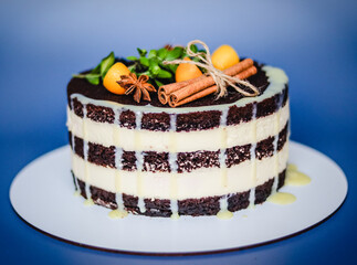 Christmas chocolate naked cake with butter cream on blue background