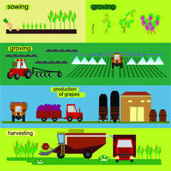 Illustration of the process of growing and harvesting crops. Equipment for agriculture. Vector set of agricultural vehicles and farm machines. Tractors, harvesters, combines.
