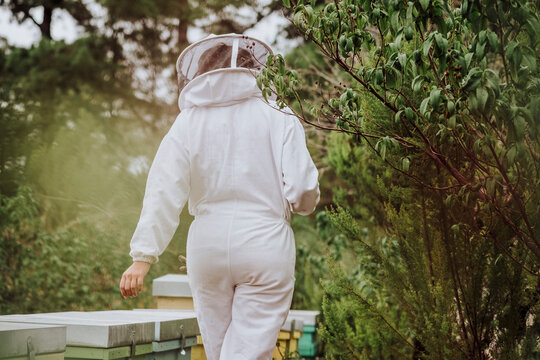A young woman beekeeper working with honeycomb