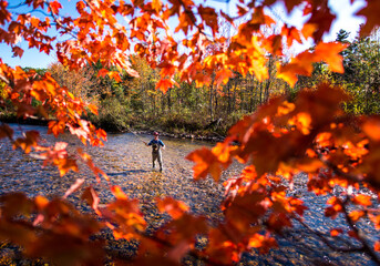 Fly-fisherman casting in river with bright foliage in foreground