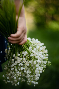 spring lily of the valley