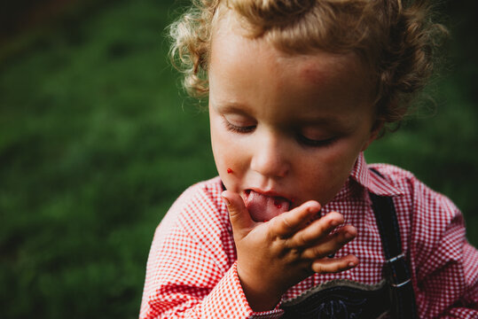 Adorable boy licking hands eating raspberries at farm with Lederhosen