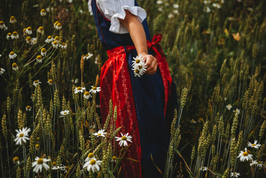 Girl wearing traditional dress picking daisies at field on sunny day