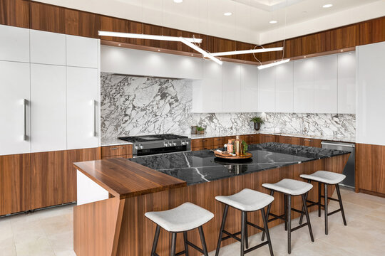 Kitchen in New Contemporary Style Luxury Home