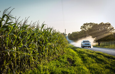 Corn Growing as truck drives by with dust
