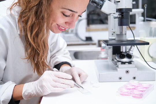 Young female scientist preparing samples to look them through a microscope in a laboratory. Laboratory research concept.