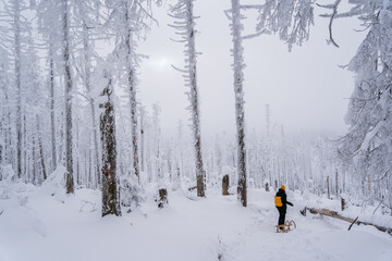 Snowlandscape and snowed trees on the Brocken in Harz in Germany 