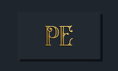 Minimal Inline style Initial PE logo.