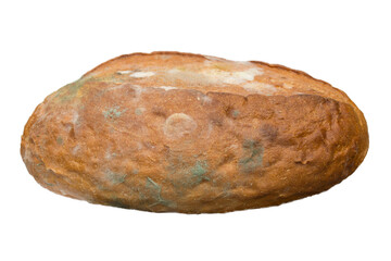 Bread covered in mold. Isolate on white background.