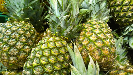 Pile of pineapple. Ananas background. Fresh exotic fruit on farmers market or supermarket. Retail industry. Discount. Grocery shopping. Healthy eating. Greengrocer. Natural food. Green nature.