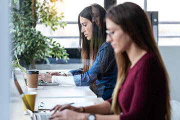 Two business women friends work with laptops on the partitioned desk in the coworking space.