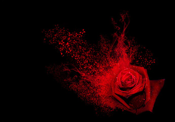 Red rose with smoke and hearts splash on a black background - obrazy, fototapety, plakaty