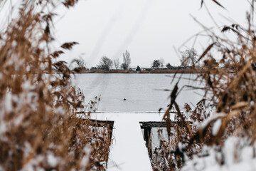 winter in the park