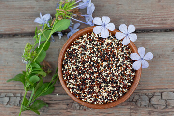quinoa seeds bowl on wooden background