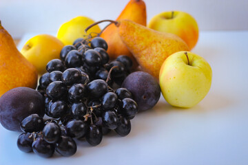 Ripe autumn fruits stand together creating a still life. Dark grapes, plums, pears and apples.