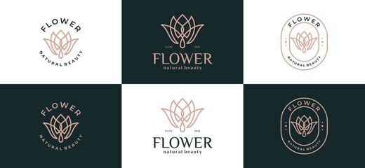 abstract logo flower leaf logo design illustration