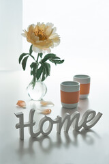 Single yellow, pale orange peony flower in trendy modern glass vase on white table. Wooden text Home and petals on white table. Two ceramic pink white tea or coffee cups. Natural light, shadows.