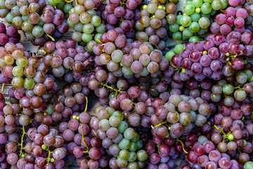 flat lay, a lots of organic wine grapes, concept wine, crop and juice, selective soft focus