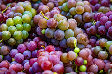flat lay, a lots of organic wine grapes, concept wine, crop and juice, selective soft focus