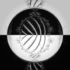 intricate black and white positive and negative fractal of leaf veins patterns and design


