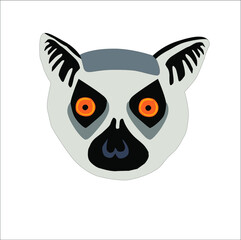 Madagascar lemur illustration , portrait. Animal in flat style isolated on white background.