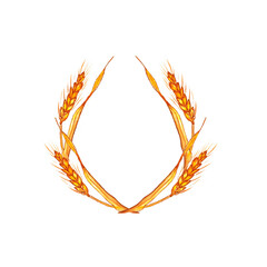Watercolor wheat ears pattern.Image of ears of wheat on a white background