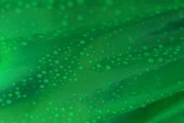 water droplets on a curved green surface