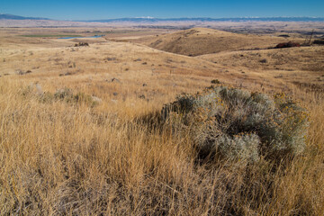 Idaho Prairie in Late Fall