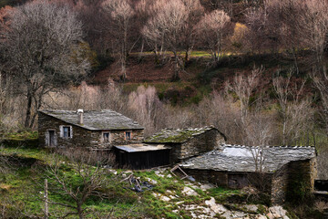 Vivienda y construcciones complementarias (cuadras, pajar, etc) rodeadas de bosques de castaños (Castanea sativa) en la aldea de Visuña, ayuntamiento de Forlgoso do Courel, provincia de Lugo (Galicia)