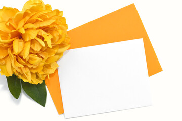 Blank colorful greeting card with yellow flower on white background. Colorful spring & summer...