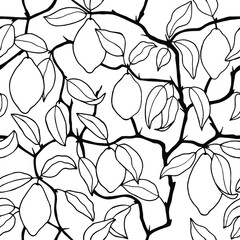 Lemons tree seamless pattern. Vector stock illustration eps10. Hand drawing, isolate on a white background, outline. 