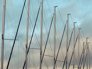Row of yacht mainsails and lines. Cloudy sky.