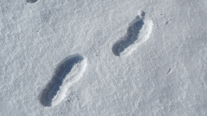 Footsteps as seen in fresh snow