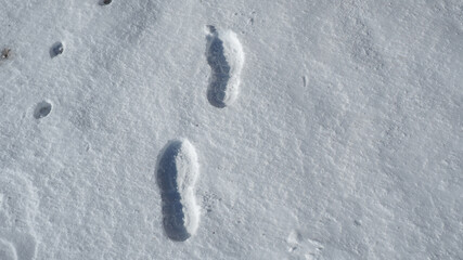 Footsteps as seen in fresh snow