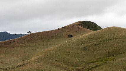San Luis Obispo Hike, Poly Canyon Trail, Hike in California