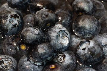 Pile of blue berries with water drops