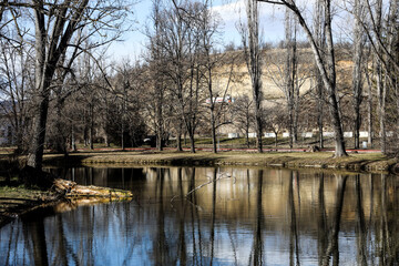 Scenic view of trees and lake in a park in winter.