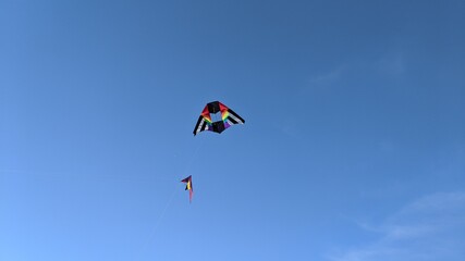 Naklejka na ściany i meble Kites flying