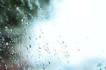 Raindrops on window glass, tree branches in the background