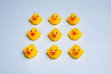 Rubber yellow ducks on a blue background . Rubber toys for the water. Children's toys. Ducks of the Kopi space. Blue background. An article about playing in the water.