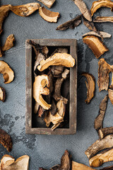 Boletus wild dried mushrooms, on gray background, top view flat lay