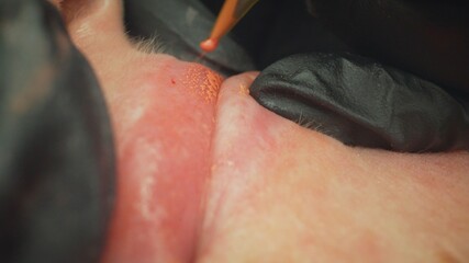Close-up of the process of tattooing, tattooing red on a woman's lips. Lip tattoo, macro...