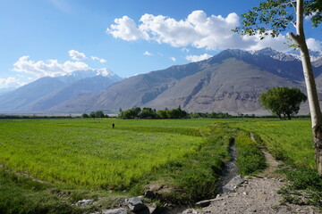 Fields in the Wakhan valley, Tadjikistan side with Afghanistan in the back