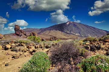 Fotobehang Teide, le volcan dans le Parc National du même nom dans les îles Canaries à Ténérife © Cyril PAPOT