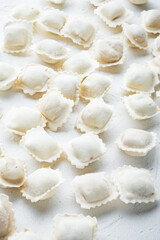 Fototapeta na wymiar Frozen dumplings tortellini and ravioli, on white background